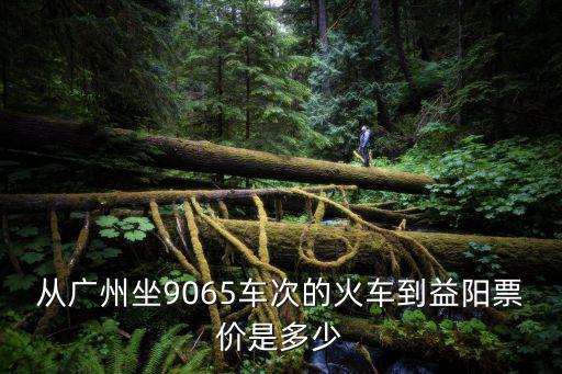 從廣州坐9065車(chē)次的火車(chē)到益陽(yáng)票價(jià)是多少