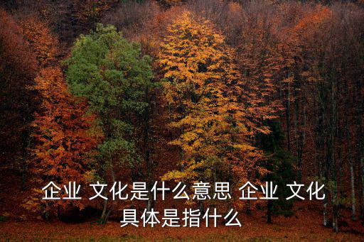  企業(yè) 文化是什么意思 企業(yè) 文化具體是指什么
