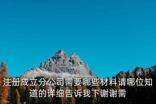注冊成立分公司需要哪些材料請哪位知道的詳細告訴我下謝謝需