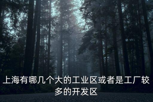 上海有哪幾個大的工業區或者是工廠較多的開發區