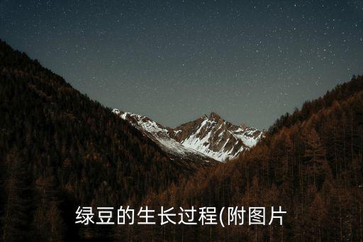 綠豆的生長過程(附圖片