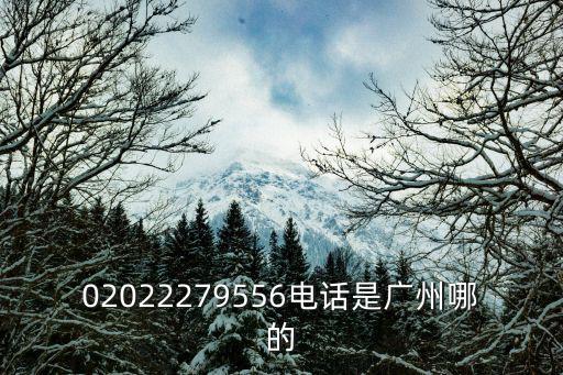 02022279556電話是廣州哪的