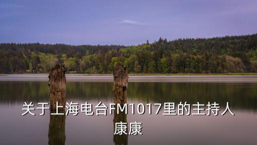 關(guān)于上海電臺(tái)FM1017里的主持人康康