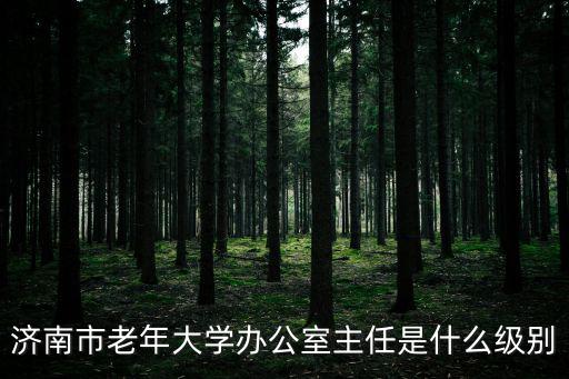 濟南市老年大學辦公室主任是什么級別