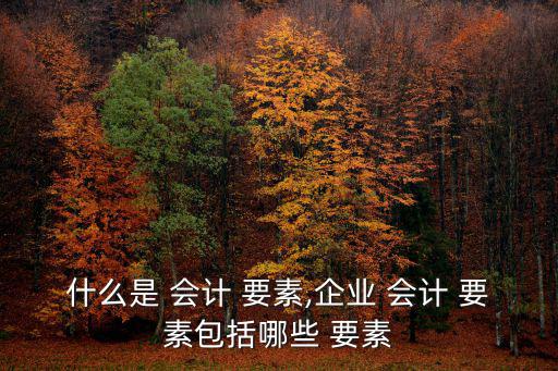 什么是 會計 要素,企業(yè) 會計 要素包括哪些 要素
