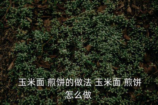  玉米面 煎餅的做法 玉米面 煎餅怎么做