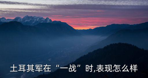 恩維爾帕夏,土耳其軍隊在黑海海峽面對俄羅斯軍隊時表現堪憂