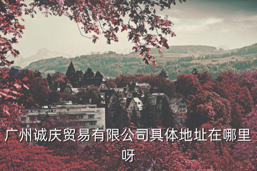 廣州誠慶貿易有限公司具體地址在哪里呀