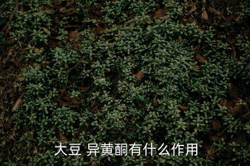  大豆 異黃酮有什么作用