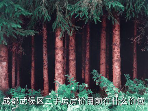 成都武侯區二手房房價目前在什么價位