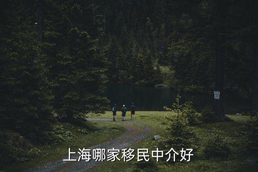 上海哪家移民中介好