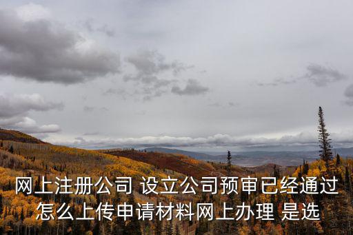 網上注冊公司 設立公司預審已經通過 怎么上傳申請材料網上辦理 是選
