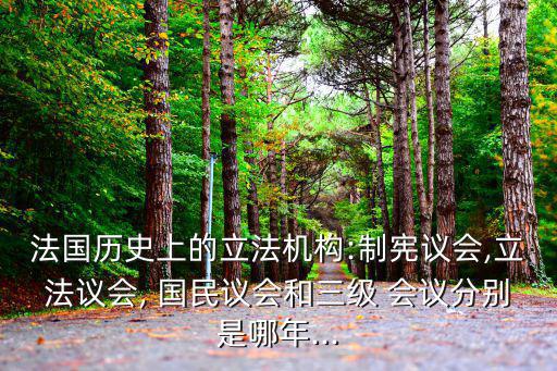 國民會議,三民主義:反對帝國主義內容強調中華民族完全獨立