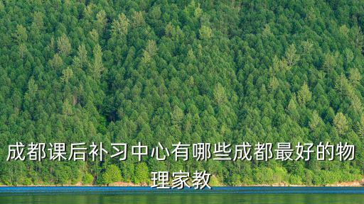 成都課后補習中心有哪些成都最好的物理家教