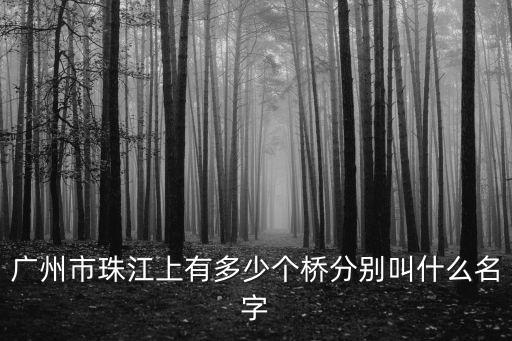 廣州市珠江上有多少個橋分別叫什么名字