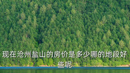 現(xiàn)在滄州鹽山的房?jī)r(jià)是多少哪的地段好些呢