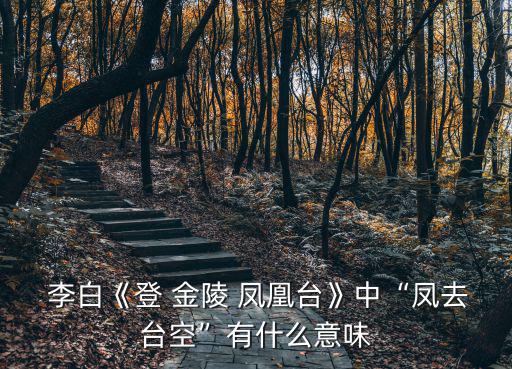 李白登金陵鳳凰臺,鳳凰去臺空六朝繁華不復返