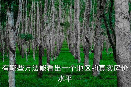 有哪些方法能看出一個地區的真實房價水平