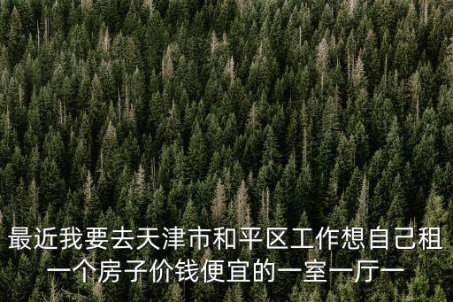 最近我要去天津市和平區工作想自己租一個房子價錢便宜的一室一廳一