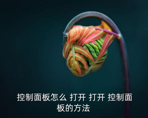  控制面板怎么 打開 打開 控制面板的方法