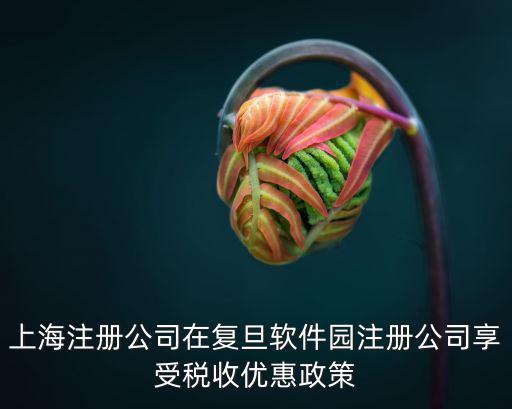 上海注冊公司在復旦軟件園注冊公司享受稅收優惠政策