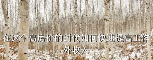 在這個高房價的時代如何快速提高工作外收入