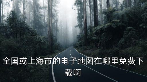 全國或上海市的電子地圖在哪里免費下載啊