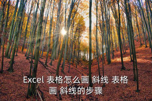 表格插入斜線,如何畫表格斜線?