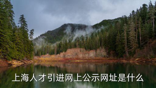 上海人才引進網(wǎng)上公示網(wǎng)址是什么