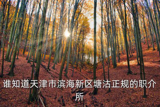 誰知道天津市濱海新區塘沽正規的職介所