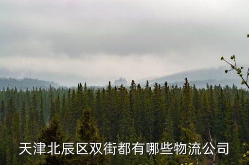 天津北辰區(qū)雙街都有哪些物流公司