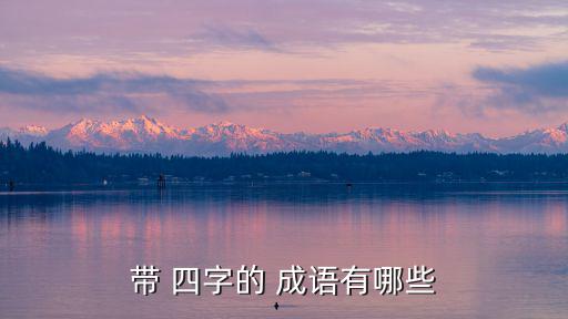 帶 四字的 成語有哪些