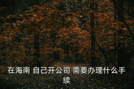 在海南 自己開公司 需要辦理什么手續