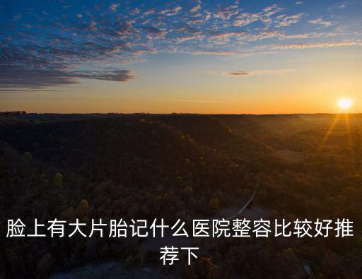 臉上有大片胎記什么醫(yī)院整容比較好推薦下