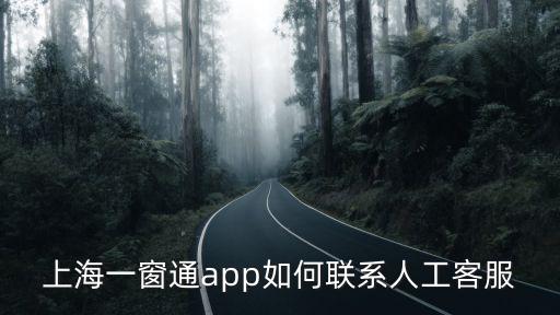 上海一窗通app如何聯系人工客服