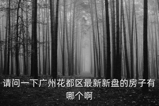 請問一下廣州花都區最新新盤的房子有哪個啊