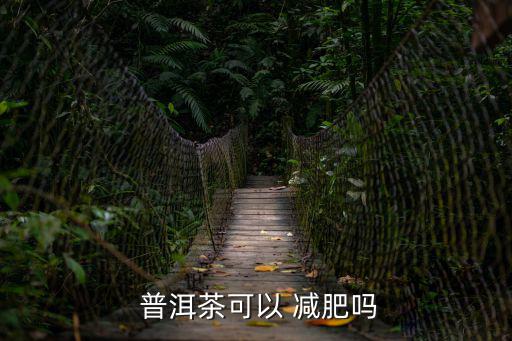  普洱茶可以 減肥嗎