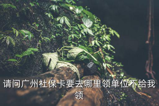 請問廣州社保卡要去哪里領單位不給我領