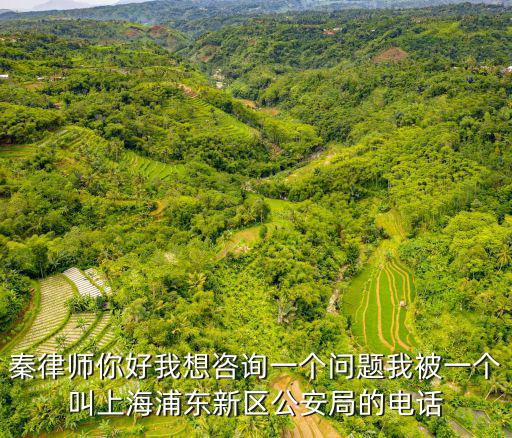 秦律師你好我想咨詢一個問題我被一個叫上海浦東新區(qū)公安局的電話
