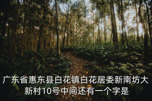 廣東省惠東縣白花鎮白花居委新南坊大 新村10號中間還有一個字是