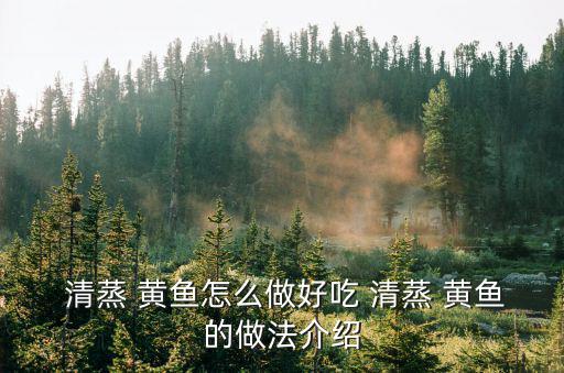  清蒸 黃魚怎么做好吃 清蒸 黃魚的做法介紹