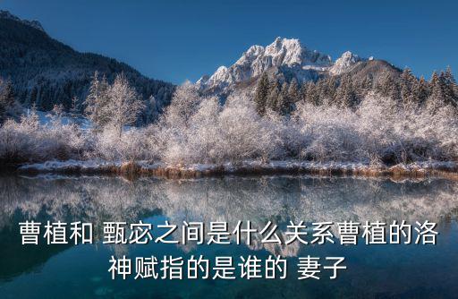 甄宓是誰(shuí)的妻子,魏氏娶曹丕的時(shí)候曹丕還年輕