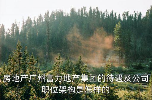 房地產(chǎn)廣州富力地產(chǎn)集團(tuán)的待遇及公司職位架構(gòu)是怎樣的