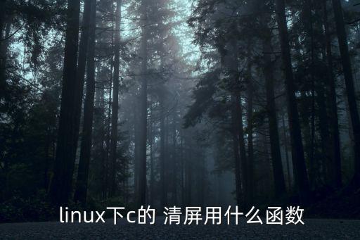  linux下c的 清屏用什么函數(shù)