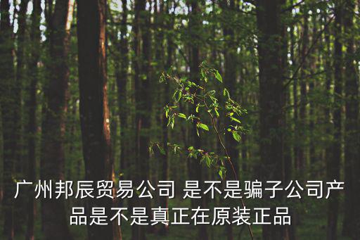 廣州邦辰貿易公司 是不是騙子公司產品是不是真正在原裝正品