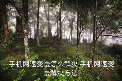  手機網速變慢怎么解決 手機網速變慢解決方法