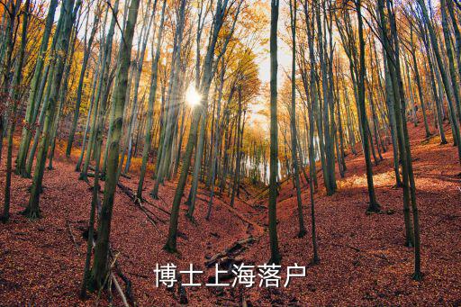 博士上海落戶