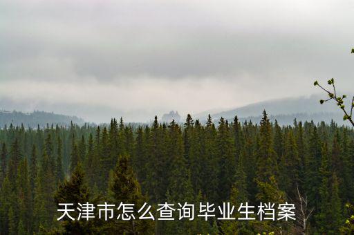 天津市怎么查詢畢業(yè)生檔案