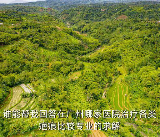 誰能幫我回答在廣州哪家醫院治療各類疤痕比較專業的求解