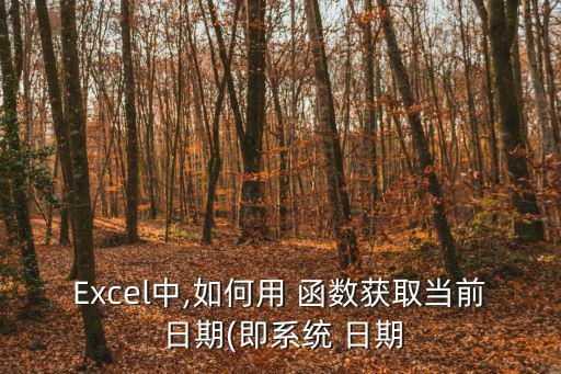 Excel中,如何用 函數獲取當前 日期(即系統 日期
